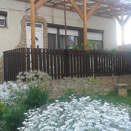 Nati és Bea Vendégház Hajdúszoboszló Habitación foto